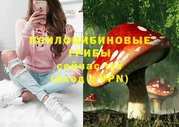 бутират Корсаков
