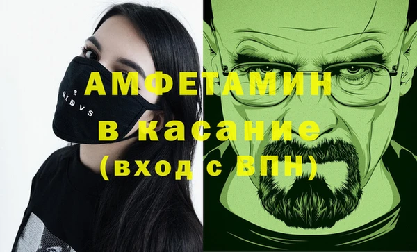 сатива Балахна