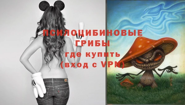 сатива Балахна