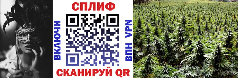 купить  цена  Ефремов  Бошки Шишки марихуана 